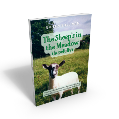 sheep in the meadow cover_20200617165410