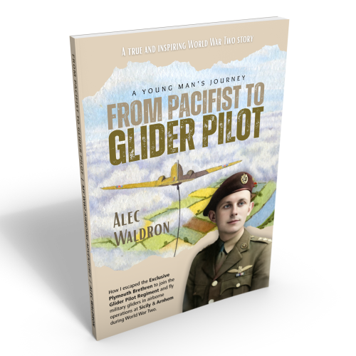 pacifist to pilot 3d