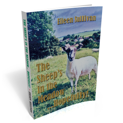 sheep in the meadow cover_20200617165410